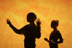 IMG_0590